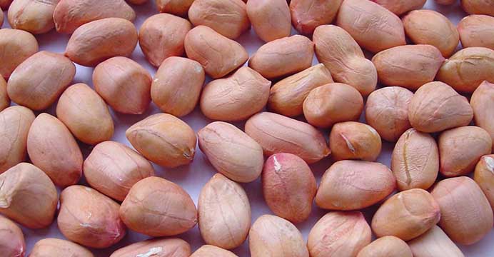 CCTV is tightening rules on descriptions of transgenic and non-transgenic products in advertisements. Photo: internet CCTV is tightening rules on descriptions of transgenic and non-transgenic products in advertisements. Photo: internet