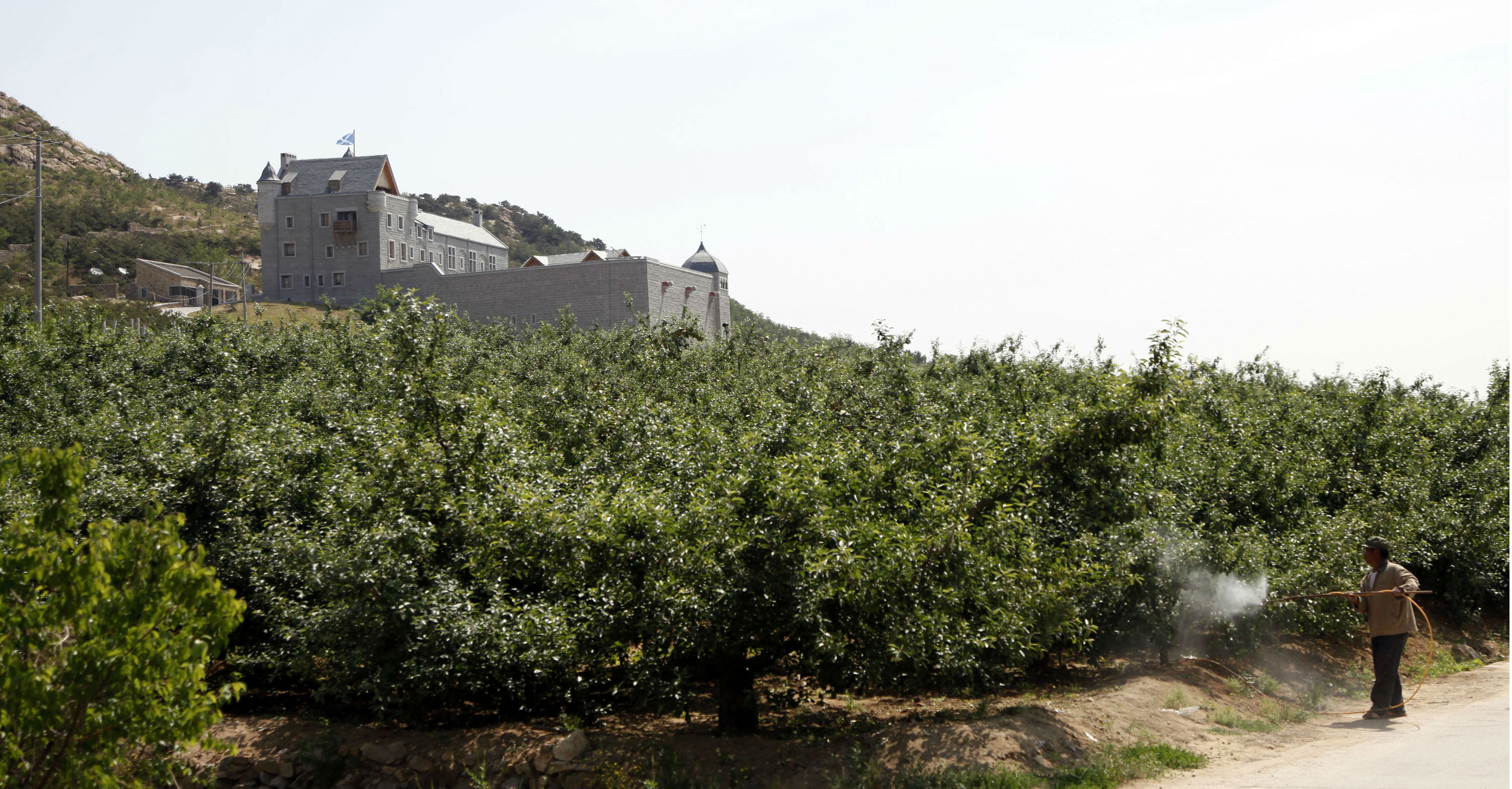 A farmer tends tends to grape vines at a vineyard in Yantai, Shandong province. Photo: Bloomberg A farmer tends tends to grape vines at a vineyard in Yantai, Shandong province. Photo: Bloomberg