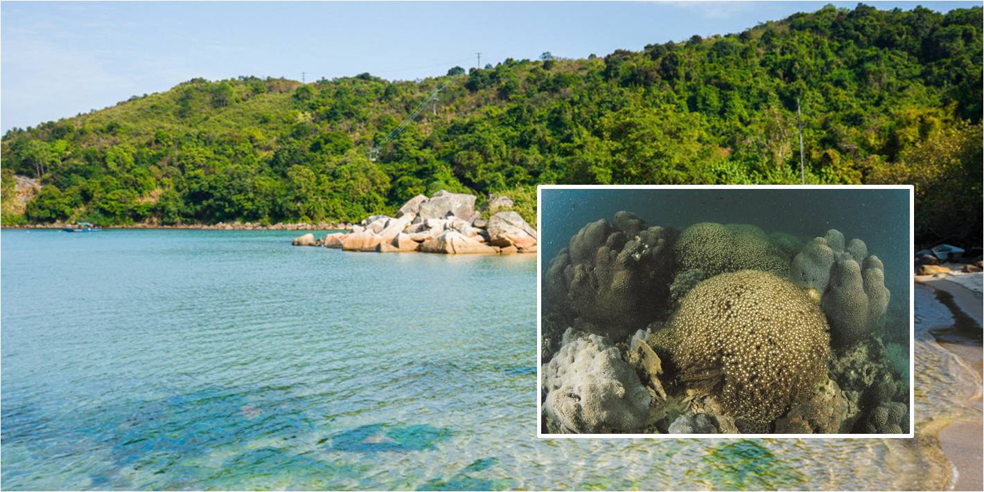 Scientists said Coral Beach in Hoi Ha Wan saw its coral coverage slide amid numerous construction projects near the area. Photos: Leung Ching Yau Alex/Flickr and GovHK Scientists said Coral Beach in Hoi Ha Wan saw its coral coverage slide amid numerous construction projects near the area. Photos: Leung Ching Yau Alex/Flickr and GovHK