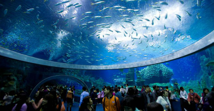 Chimelong Ocean Kingdom is a big draw for tourists, most of them from mainland China. Photo: okzhuhai.com Chimelong Ocean Kingdom is a big draw for tourists, most of them from mainland China. Photo: okzhuhai.com