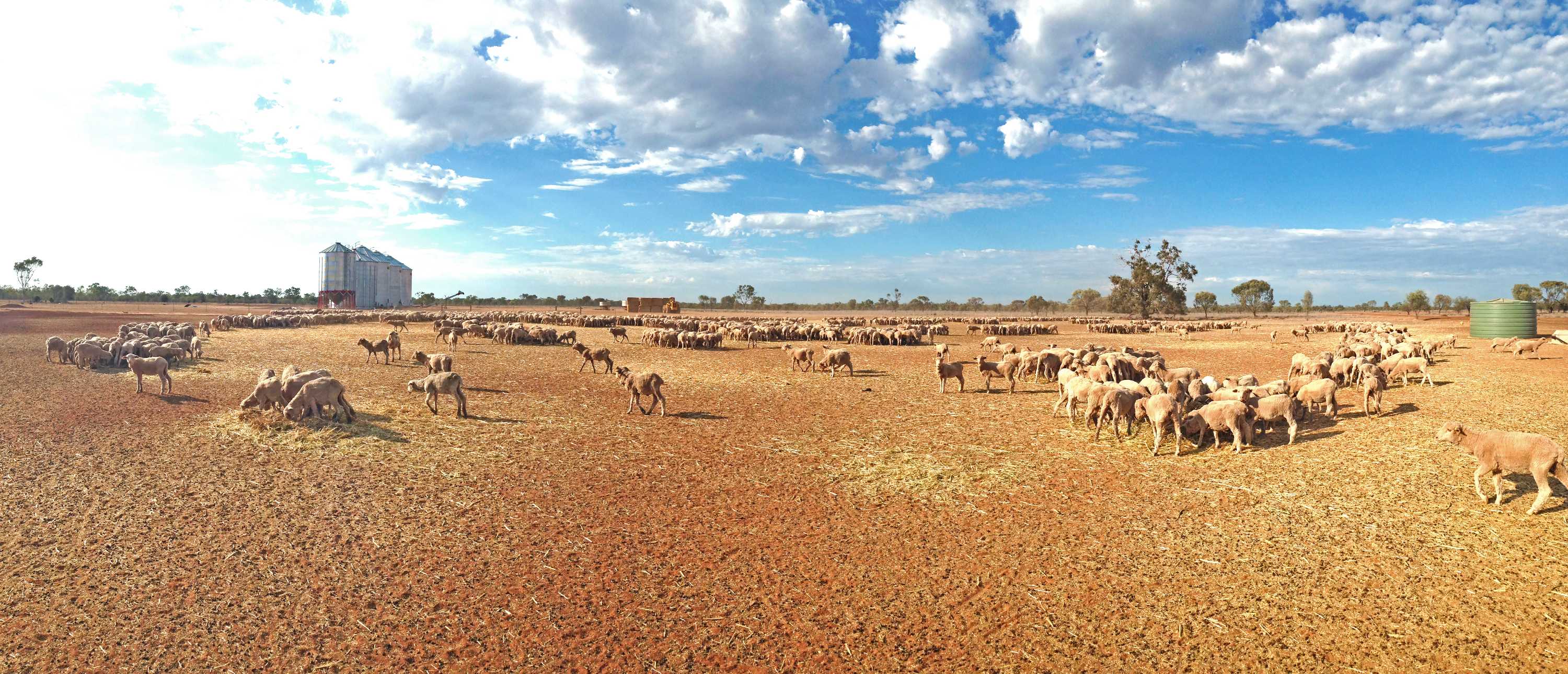 The current massive El Niño phenomenon is likely to leave a significant footprint on global growth. Photo: Internet The current massive El Niño phenomenon is likely to leave a significant footprint on global growth. Photo: Internet