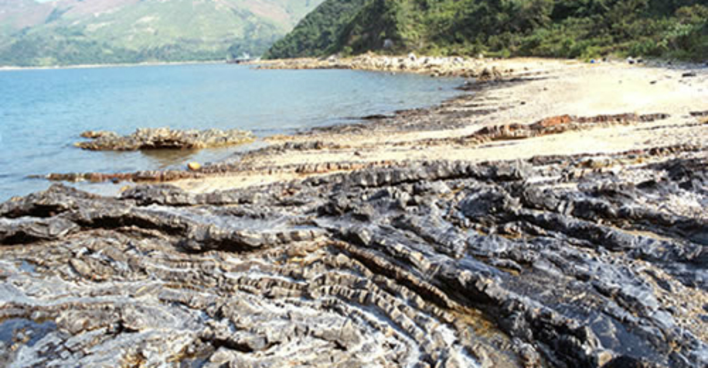 The magnificent rocky shore of Lai Chi Chong unfolds before your eyes when the tide ebbs. Photo: hkss.cedd.gov.hk The magnificent rocky shore of Lai Chi Chong unfolds before your eyes when the tide ebbs. Photo: hkss.cedd.gov.hk