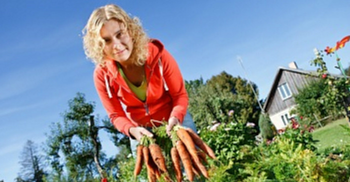 Gardening goods account for as much as 20 percent of the sales of DIY stores across Russia. Photo: internet Gardening goods account for as much as 20 percent of the sales of DIY stores across Russia. Photo: internet