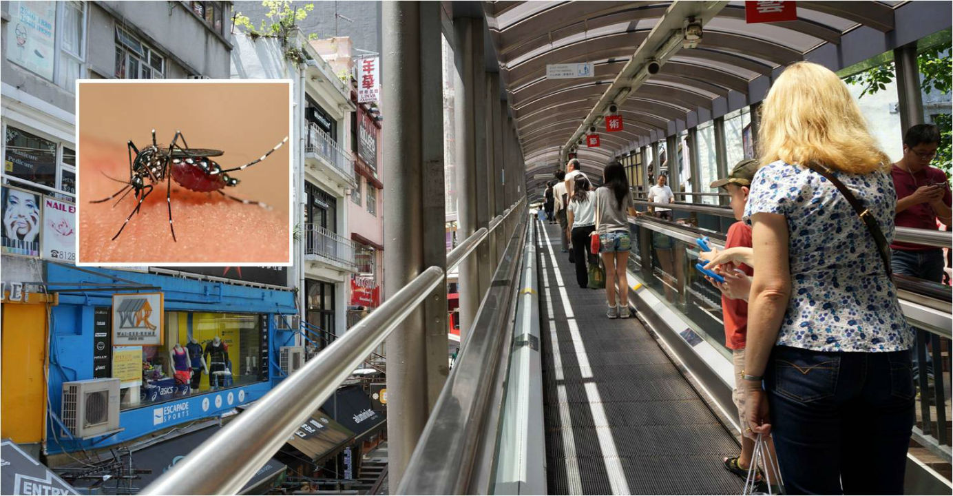 The dengue fever is carried by the aedes mosquito (inset). People who have used the Central-Mid-Levels escalators might have been exposed. Photos: HKEJ, wikipedia The dengue fever is carried by the aedes mosquito (inset). People who have used the Central-Mid-Levels escalators might have been exposed. Photos: HKEJ, wikipedia