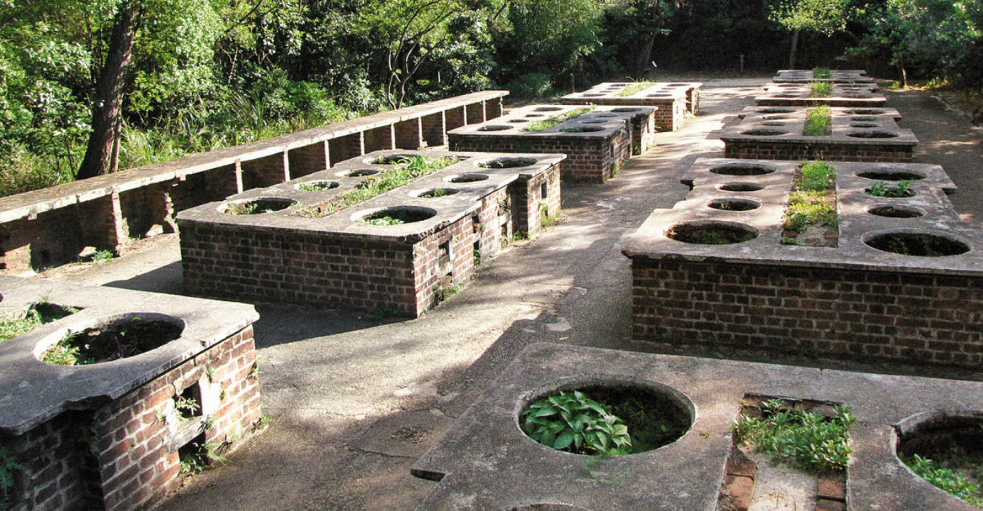 Abandoned stoves mingle with trees, grass and flowers. Photo: HKEJ Abandoned stoves mingle with trees, grass and flowers. Photo: HKEJ