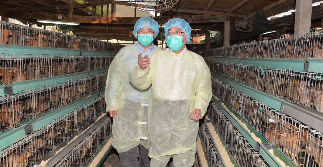 File picture of former health minister Dr. Ko Wing-man visiting a chicken farm in Yeun Long. The spread of infectious animal diseases has been traced to improper use of antibiotics in farms. Photo: GovHK File picture of former health minister Dr. Ko Wing-man visiting a chicken farm in Yeun Long. The spread of infectious animal diseases has been traced to improper use of antibiotics in farms. Photo: GovHK