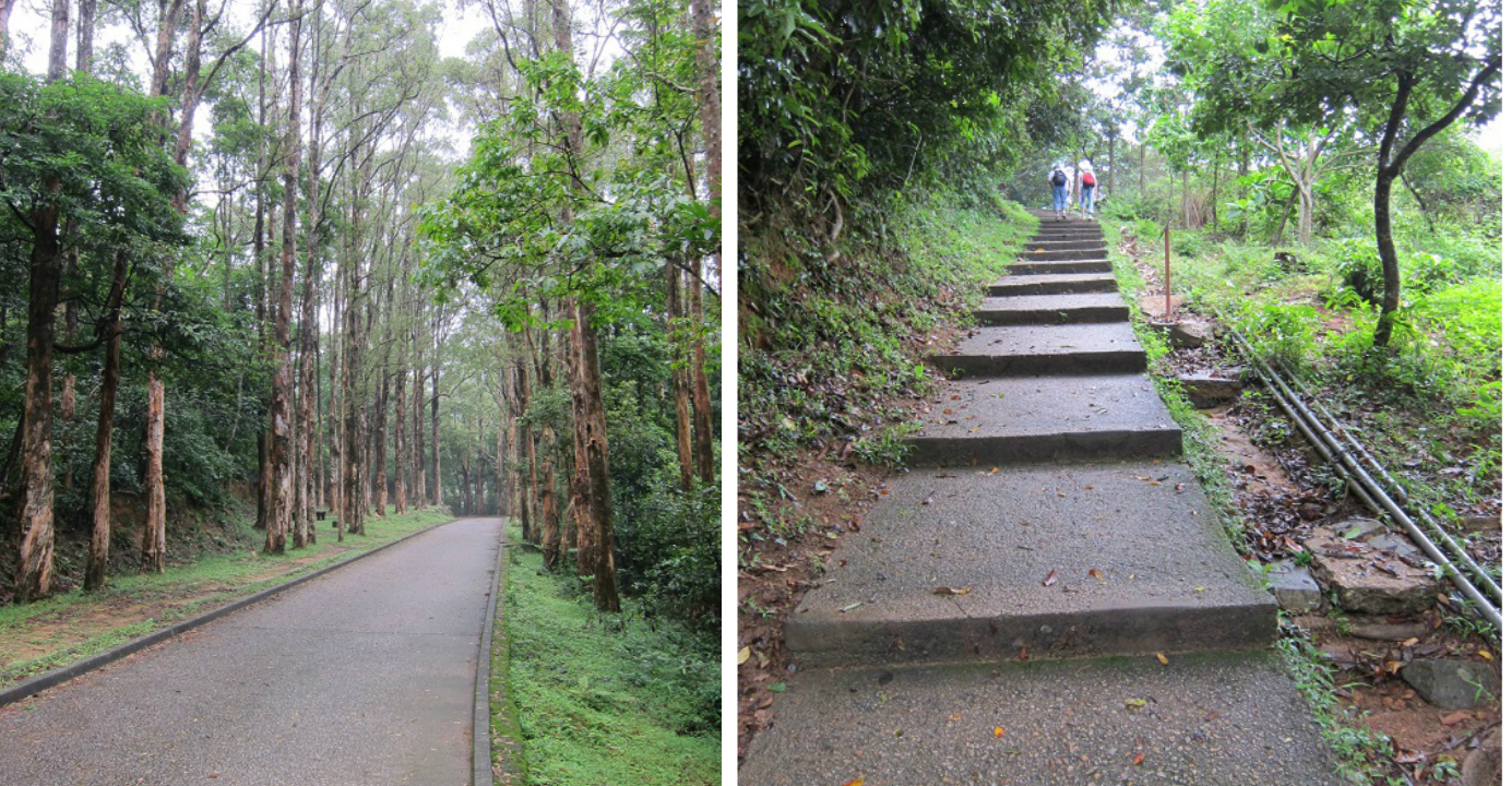 The hiking path to the stream is also enchanting, taking you along the Shing Mun reservoir in Tsuen Wan. Photo: JC Clement The hiking path to the stream is also enchanting, taking you along the Shing Mun reservoir in Tsuen Wan. Photo: JC Clement