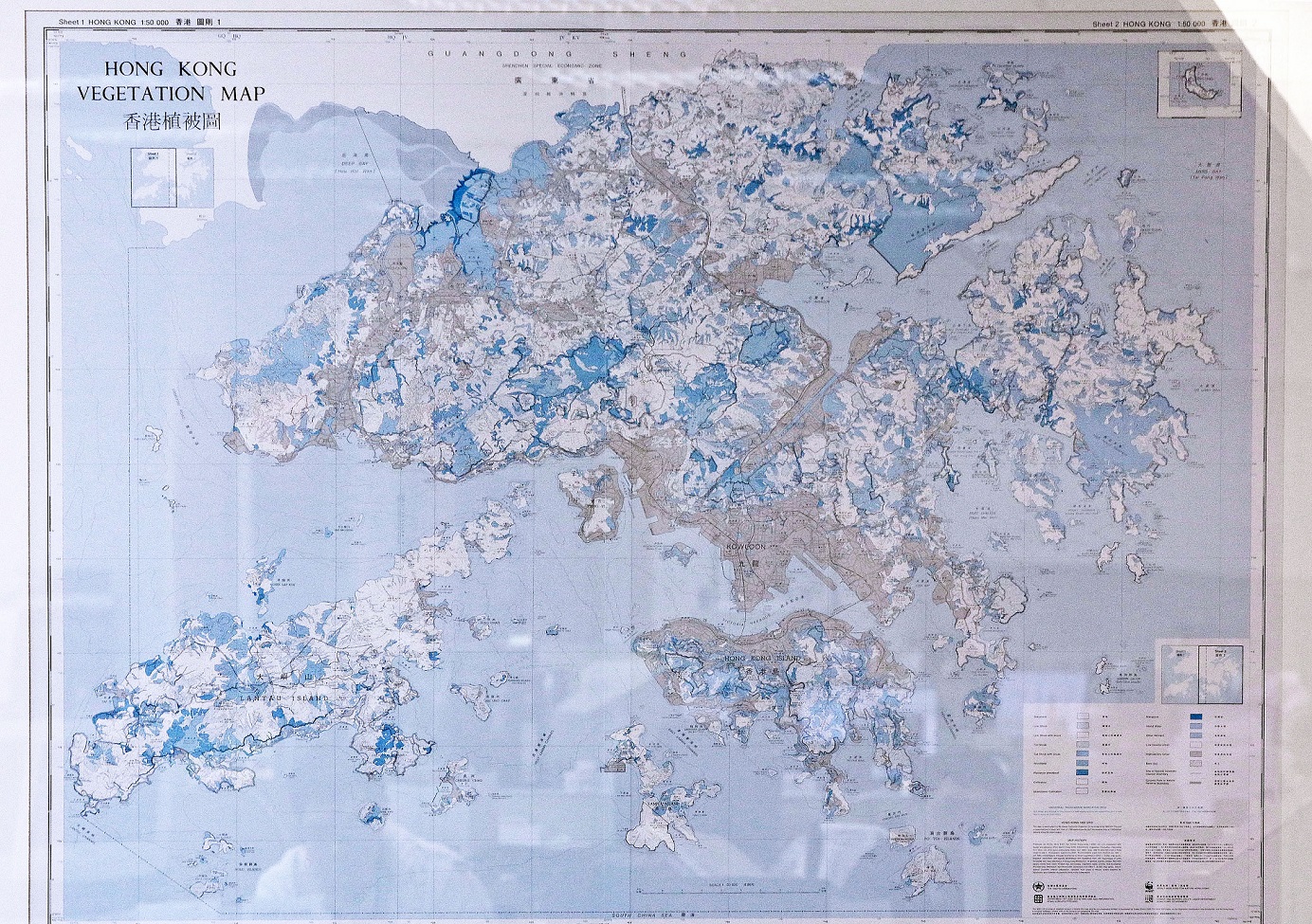 A vegetation map of Hong Kong is displayed on the wall of Tang's office in her company. Photo: Internet A vegetation map of Hong Kong is displayed on the wall of Tang's office in her company. Photo: Internet