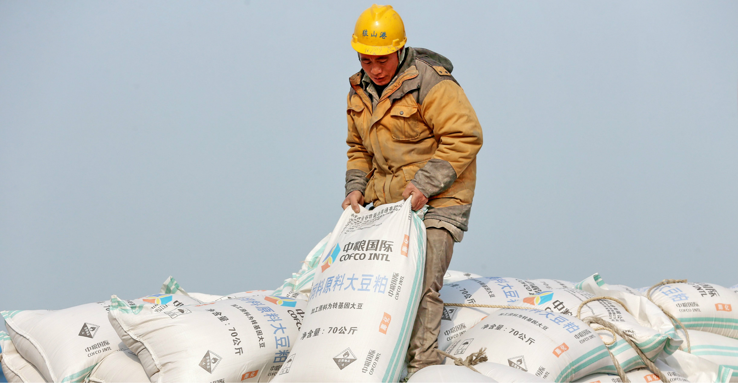 China wants to increase soybean production after its move to slap tariffs on imports from the United States tightened domestic supplies. Photo: AFP China wants to increase soybean production after its move to slap tariffs on imports from the United States tightened domestic supplies. Photo: AFP