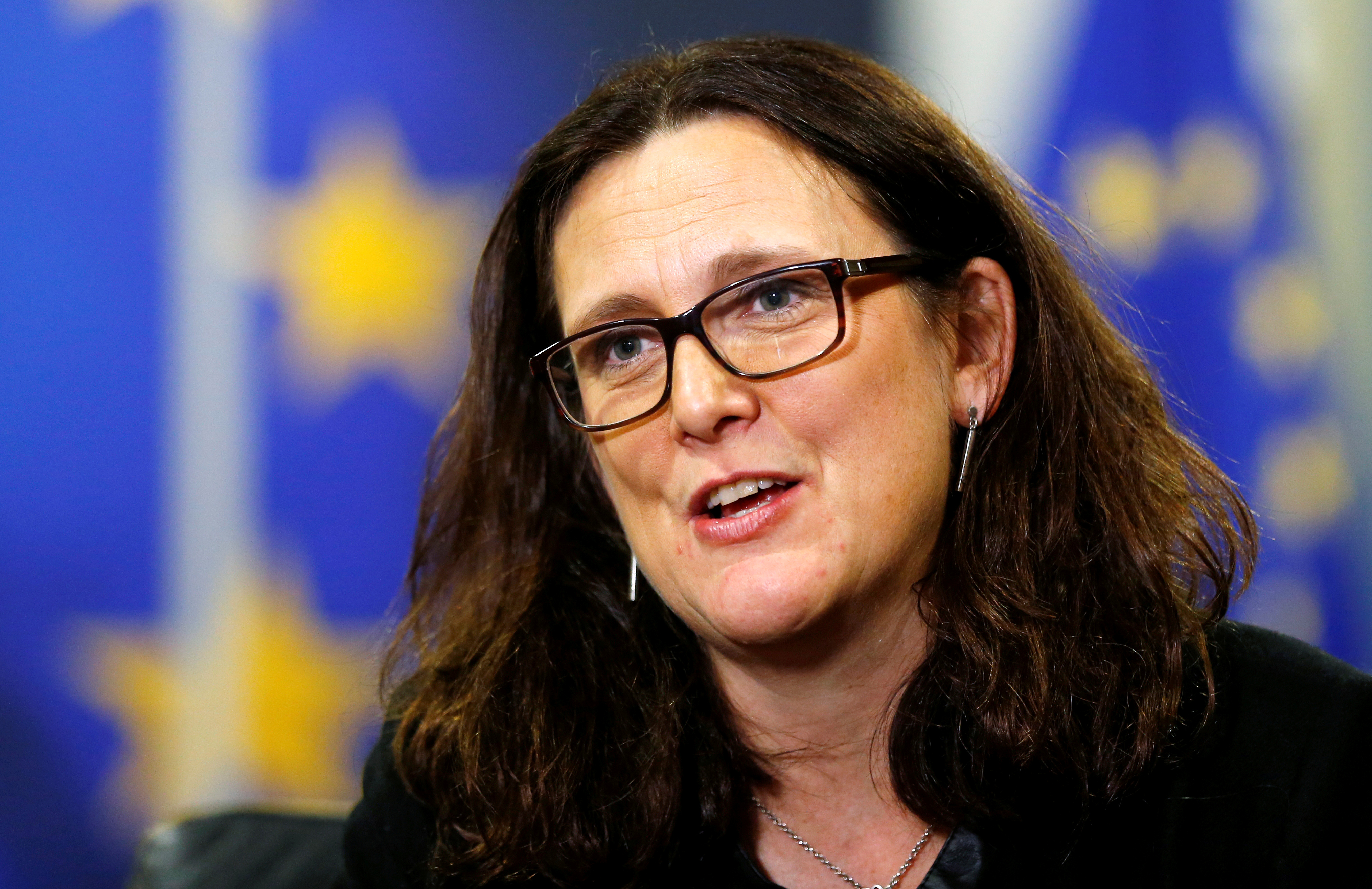 Agriculture is a 'red line' and it will certainly not be part of Europe's trade negotiations with the US, says EU Trade Commissioner Cecilia Malmstrom. Photo: Reuters Agriculture is a 'red line' and it will certainly not be part of Europe's trade negotiations with the US, says EU Trade Commissioner Cecilia Malmstrom. Photo: Reuters