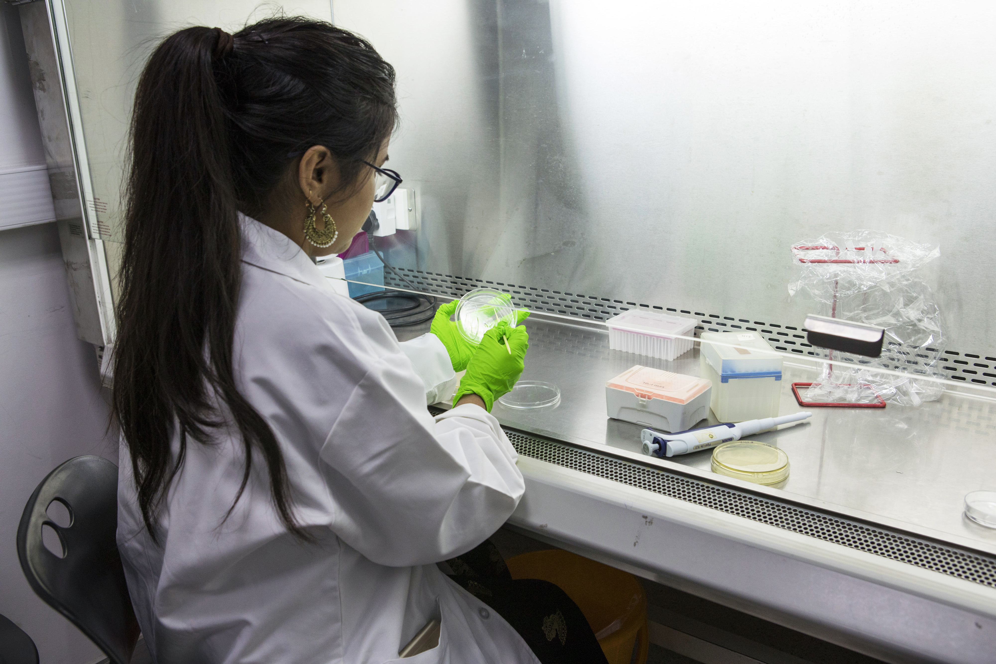 R&D breakthroughs won't amount to anything if efforts are not made to develop practical applications for the market. Photo: Bloomberg R&D breakthroughs won't amount to anything if efforts are not made to develop practical applications for the market. Photo: Bloomberg
