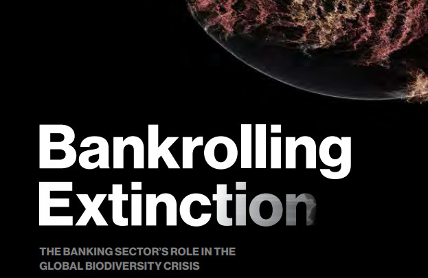 Portfolio Earth ‘s Bankrolling Extinction report calculates the exposure of 50 of the world’s biggest banks to particular “biodiversity impact” sectors, including agriculture, forestry, mining, fisheries, infrastructure, and transport. Photo: Portfolio Ea