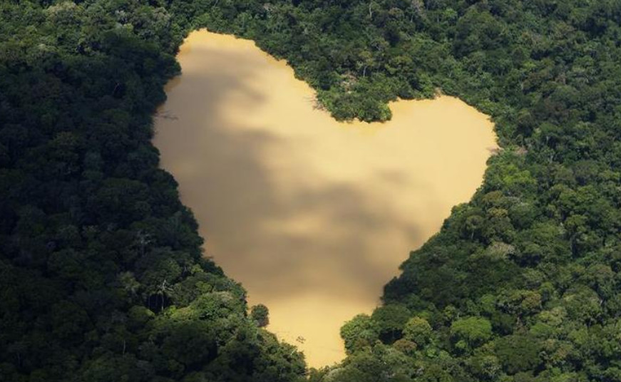 By far the biggest likely shocks this century stem from our toxic relationship with nature. Photo: Reuters By far the biggest likely shocks this century stem from our toxic relationship with nature. Photo: Reuters