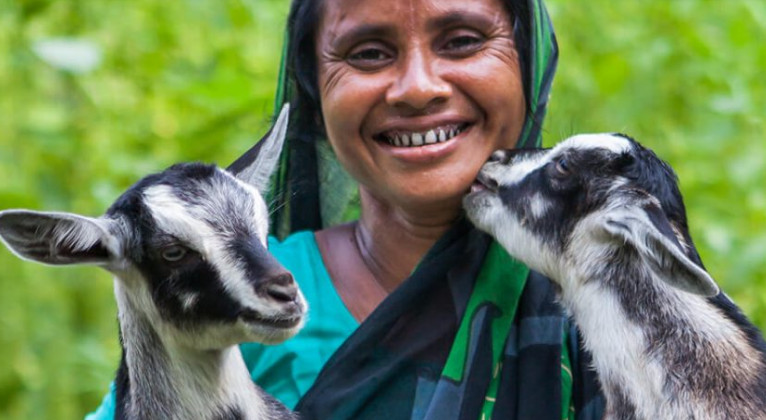 Graduation participants are provided with an income-generating asset such as a cow, a sewing machine, or a cash transfer.  Photo: BRAC