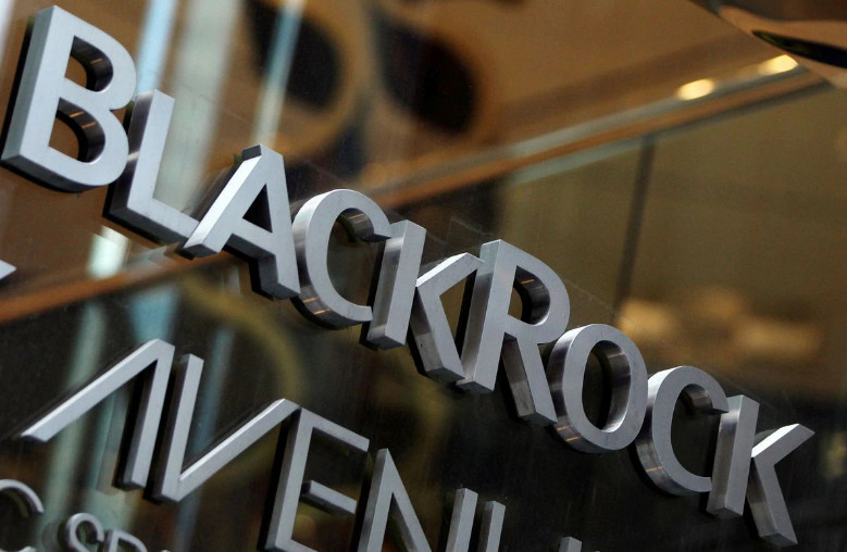 BlackRock has asked all firms in its portfolio to  issue reports aligned with the Task Force on Climate-Related Financial Disclosures and the more recently established Task Force on Nature-Related Financial Disclosures. Photo: Reuters