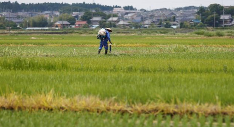 But today’s technologies enable us to allocate the minimum quantity of water needed to increase agricultural yields. Photo: Reuters But today’s technologies enable us to allocate the minimum quantity of water needed to increase agricultural yields. Photo: Reuters
