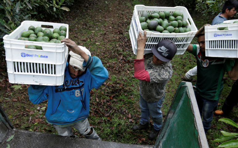 Photo: Reuters/World Economic Forum