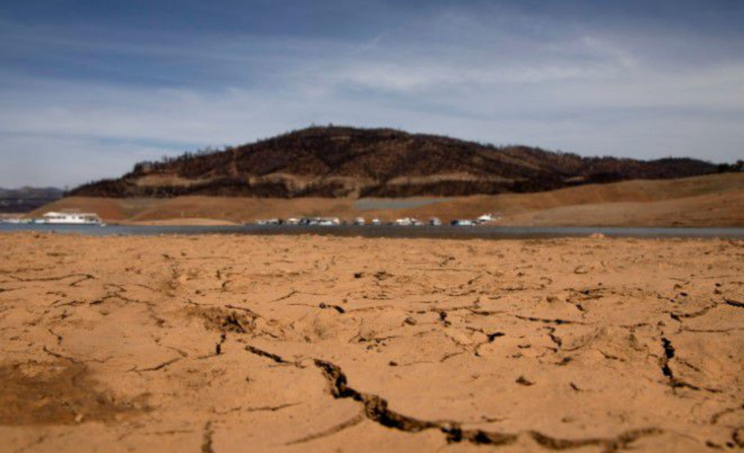 Photo: Reuters Photo: Reuters