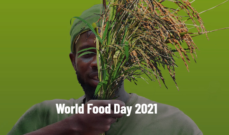 Photo: Food and Agriculture Organization of the United Nations Photo: Food and Agriculture Organization of the United Nations