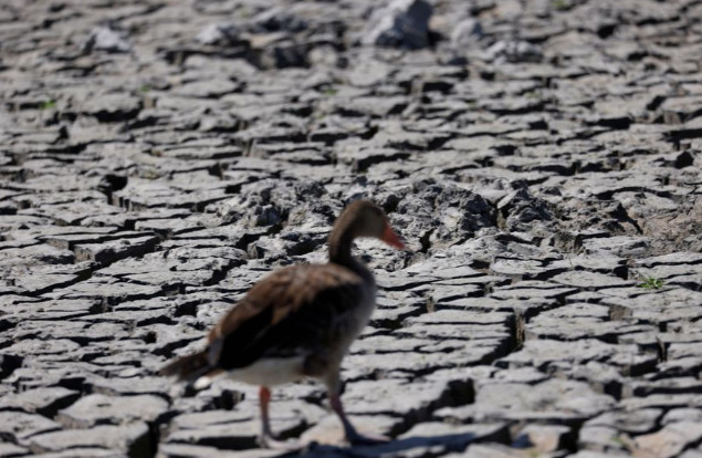 Photo: Reuters Photo: Reuters