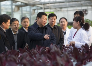 POLICY WATCH: Xi highlights key areas of reform