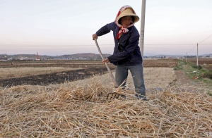 POLICY WATCH: Renewed focus on food security