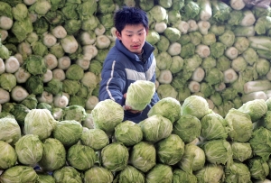 POLICY WATCH: Govt to reduce role in farm produce market