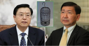 Beijing insists on 'birdcage democracy' for HK