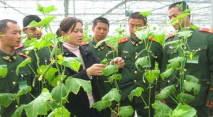 Xinjiang Bingtuan's security role stressed in white paper 