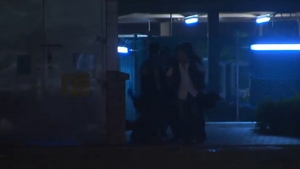 Policemen seen beating up protester at Tamar Park