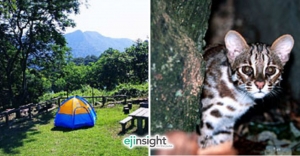 What on earth is CY Leung trying to do with our country parks?