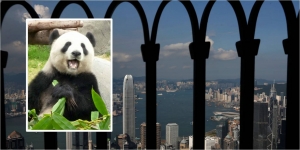 Is China killing Hong Kong in its womb?