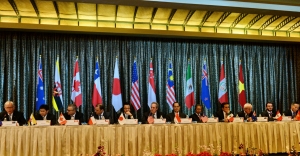 TPP: Why Singapore wins and Hong Kong loses