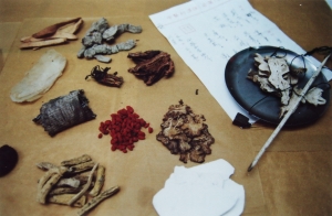 HK firms must tap the opportunity in Chinese medicinal herbs