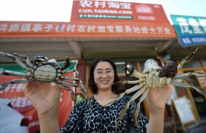 Lessons of e-commerce explosion in China