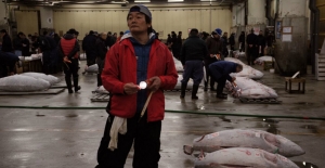 See this before it's gone: Tsukiji Market in Tokyo