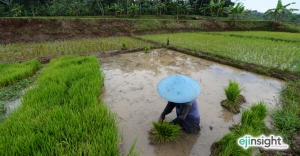 Why local ingredients are seldom used in Chinese cuisine