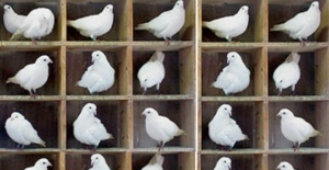Why mini flats are so popular in Shenzhen