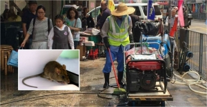 FEHD under fire over rodent control measues