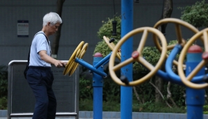 Public annuity scheme a good idea but investment cap too low