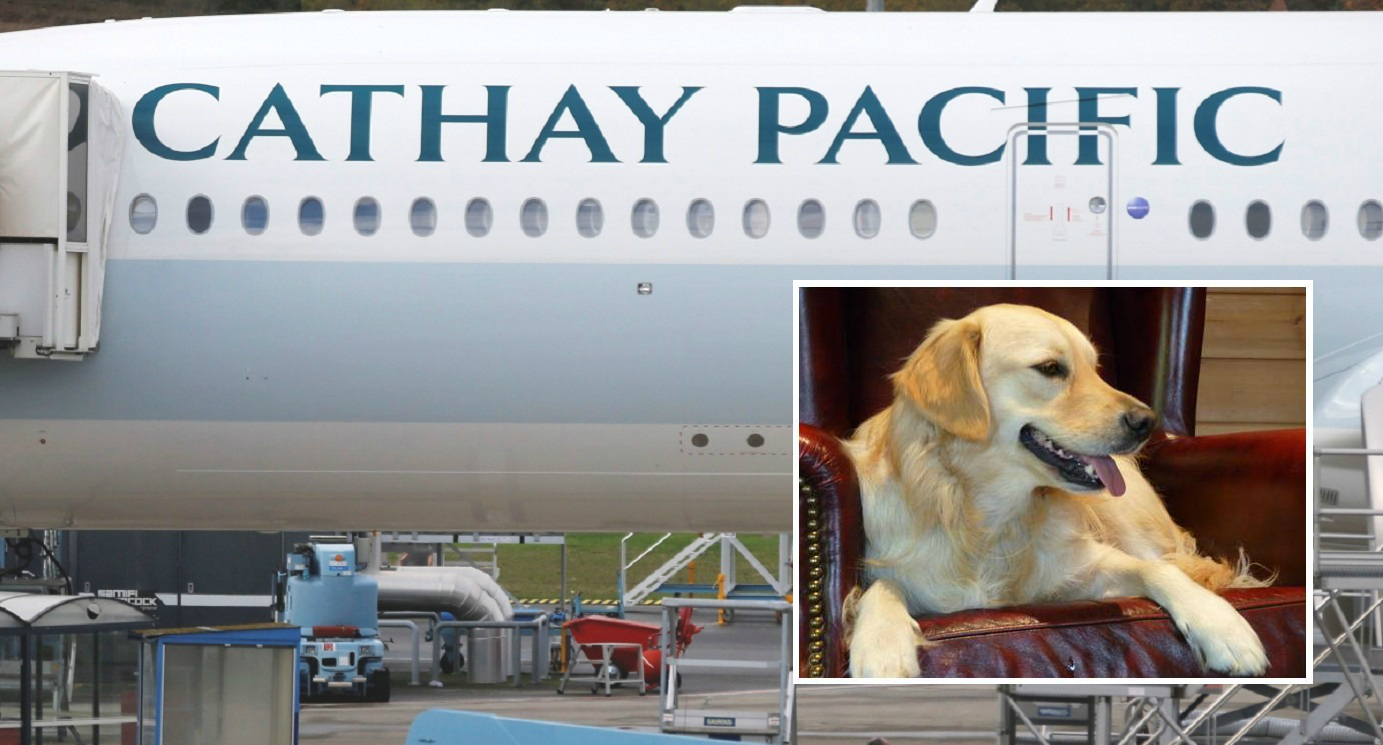 cathay pacific pets
