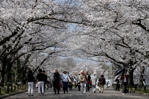 Japan's 'sayonara tax' won't deter HK travelers