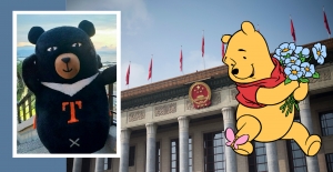 Bear the reality of politics