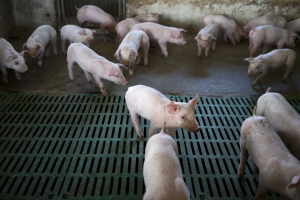 Why China faces rising inflation risks