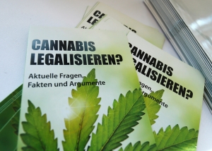 After the bitcoin craze, we now have pot stock mania