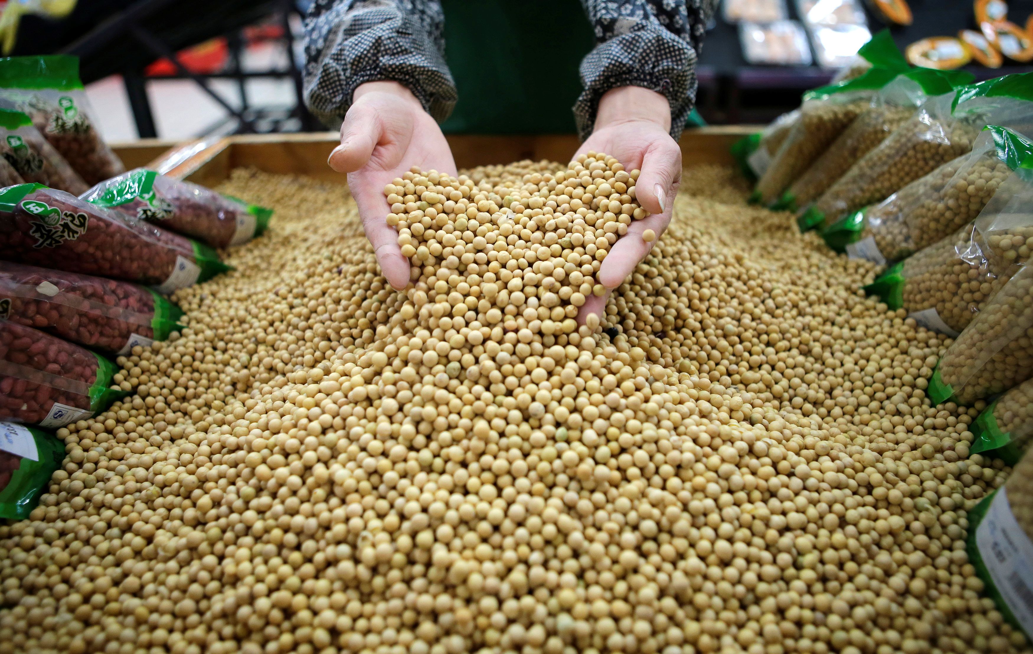 China clears 2 new GM crops from US for import, renews 10 others
