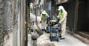 Rat infestation in HK more serious than we think