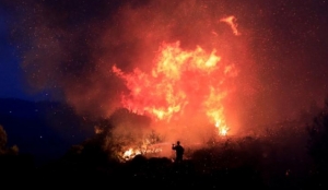 What about the climate displaced?