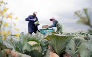 Fixing our failing food systems