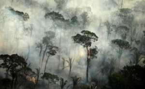 Climate leadership needs more women